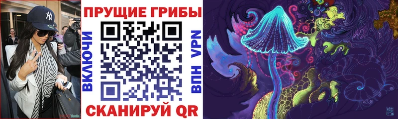 Галлюциногенные грибы Psilocybine cubensis Эртиль